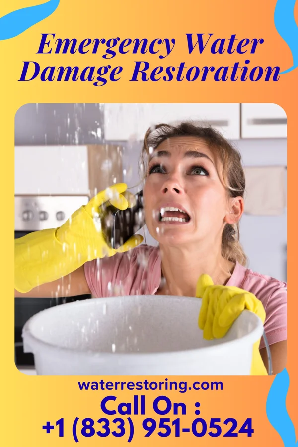 Emergency Water Damage Restoration in Lodi, NJ