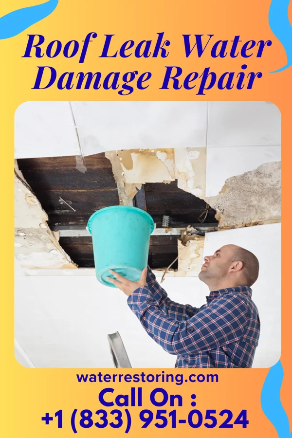 Roof Leak Water Damage Repair in Lodi, NJ
