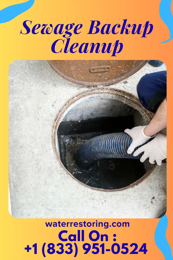 Sewage Backup Cleanup in Lodi, NJ