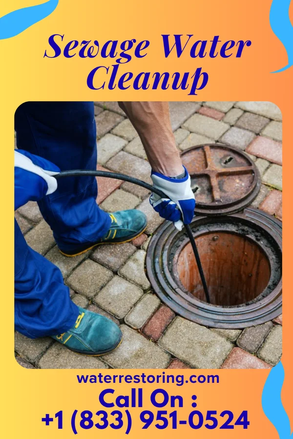 Sewage Water Cleanup in Lodi, NJ