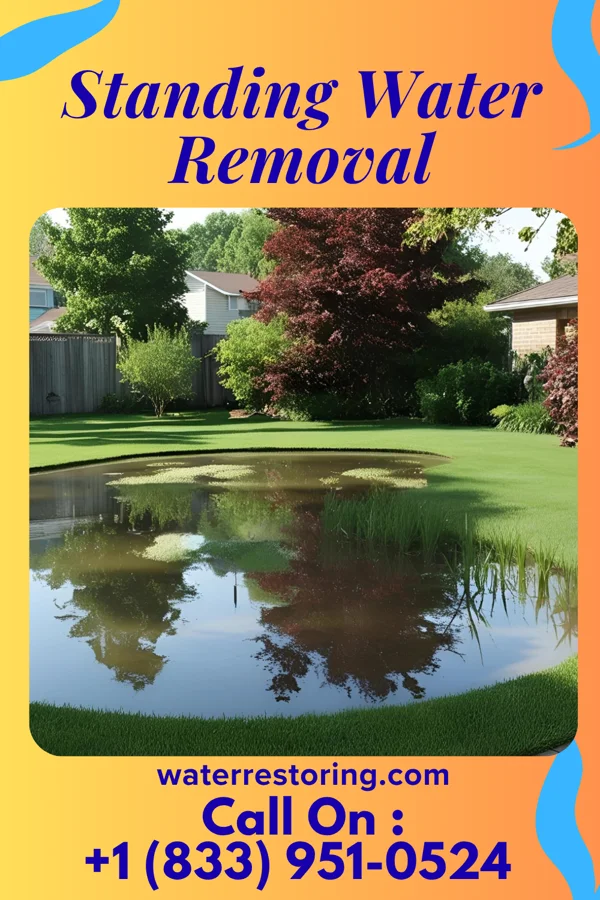 Standing Water Removal in Lodi, NJ